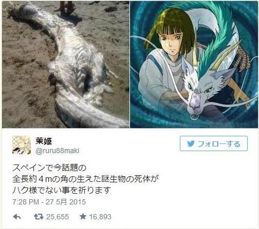八つ裂きか スペインで ハク様 に似た龍のような生物が発見される きゃのん 2008のブログ きゃのん 2008公式ブログ ゚ ゚ みんカラ