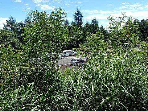 八ヶ岳 今日のテッペンは三ツ頭まで 山旅irohaのブログ 稜線山歩 さんぽ みんカラ 八ヶ岳 今日のテッペンは三ツ頭まで 山旅irohaのブログ 稜線山歩 さんぽ みんカラ