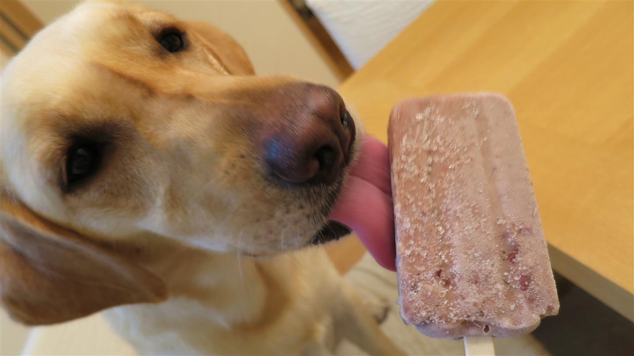 あずきバー インディパパのブログ 楽しいクルマいじりを みんカラ