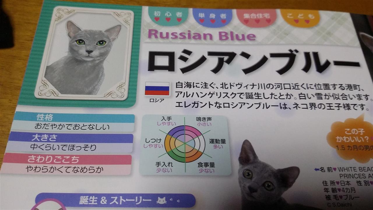 比較検証 サイレントキャット ボイスレスキャットと肉球 笑 猫ブログ 比較検証 サイレントキャット ボイスレスキャットと肉球 笑 猫ブログ その他 まとめ みんカラ 車 自動車sns ブログ パーツ 燃費 整備 比較検証 サイレントキャット ボイスレスキャットと肉球 笑 猫ブログ 比較検証 サイレントキャット ボイスレスキャットと肉球 笑 猫ブログ その他 まとめ みんカラ 車 自動車sns ブログ パーツ 燃費 整備