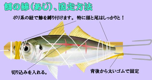 明石のマダコ釣り 一桁から脱出するためのコツを伝授 Imoちゃんのブログ Fwf お世話になったあの方へ お中元お歳暮に ヘム極み みんカラ 明石のマダコ釣り 一桁から脱出するためのコツを伝授 Imoちゃんのブログ Fwf お世話になったあの方へ お中元お歳暮に ヘム極み みんカラ