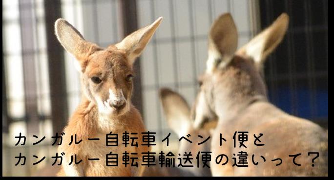 カンガルー自転車イベント便とカンガルー自転車輸送便の違いって？