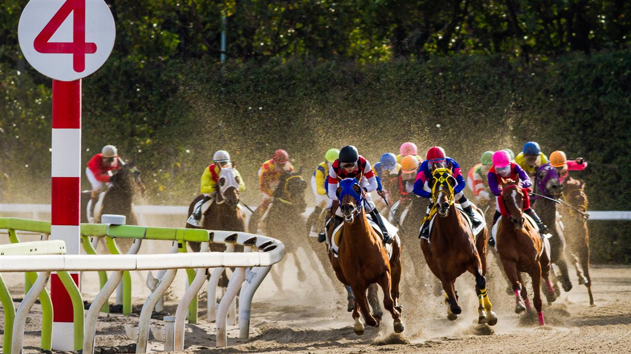 大井競馬場