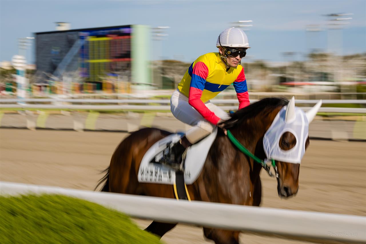大井競馬場返し馬