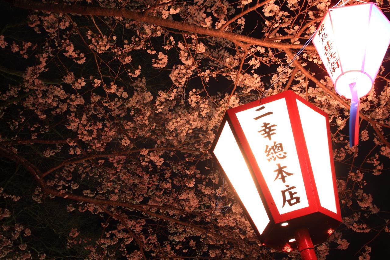 茂原公園夜桜 エブリィ のブログ エブリィ のページ みんカラ 茂原公園夜桜 エブリィ のブログ エブリィ のページ みんカラ