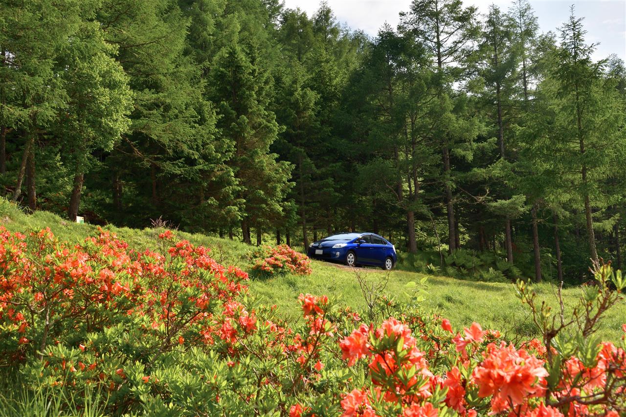 美ヶ原 花景 2 レンゲツツジ そらくう2号のブログ そらくう2号のページ みんカラ