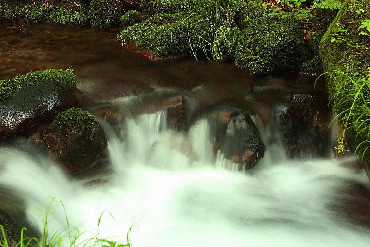サントリー 奥大山の天然水 ブナの森 Cmロケ地 宇多田さん リック ジョンソンのブログ リック ジョンソンのページ みんカラ