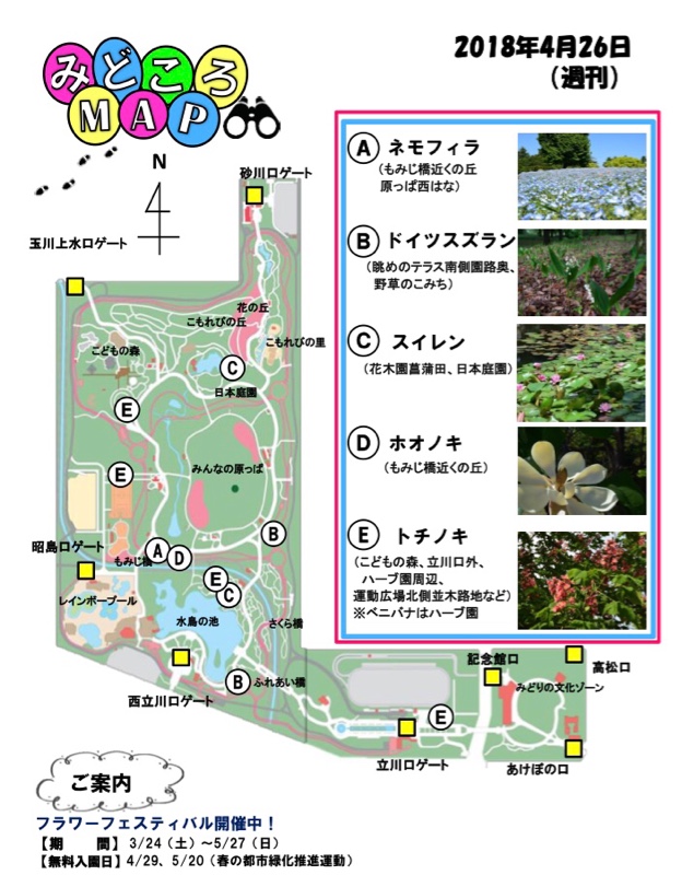 春の花巡り No 4 昭和記念公園 Tempest 3のブログ Tempest Variantのページ みんカラ 春の花巡り No 4 昭和記念公園 Tempest 3のブログ Tempest Variantのページ みんカラ