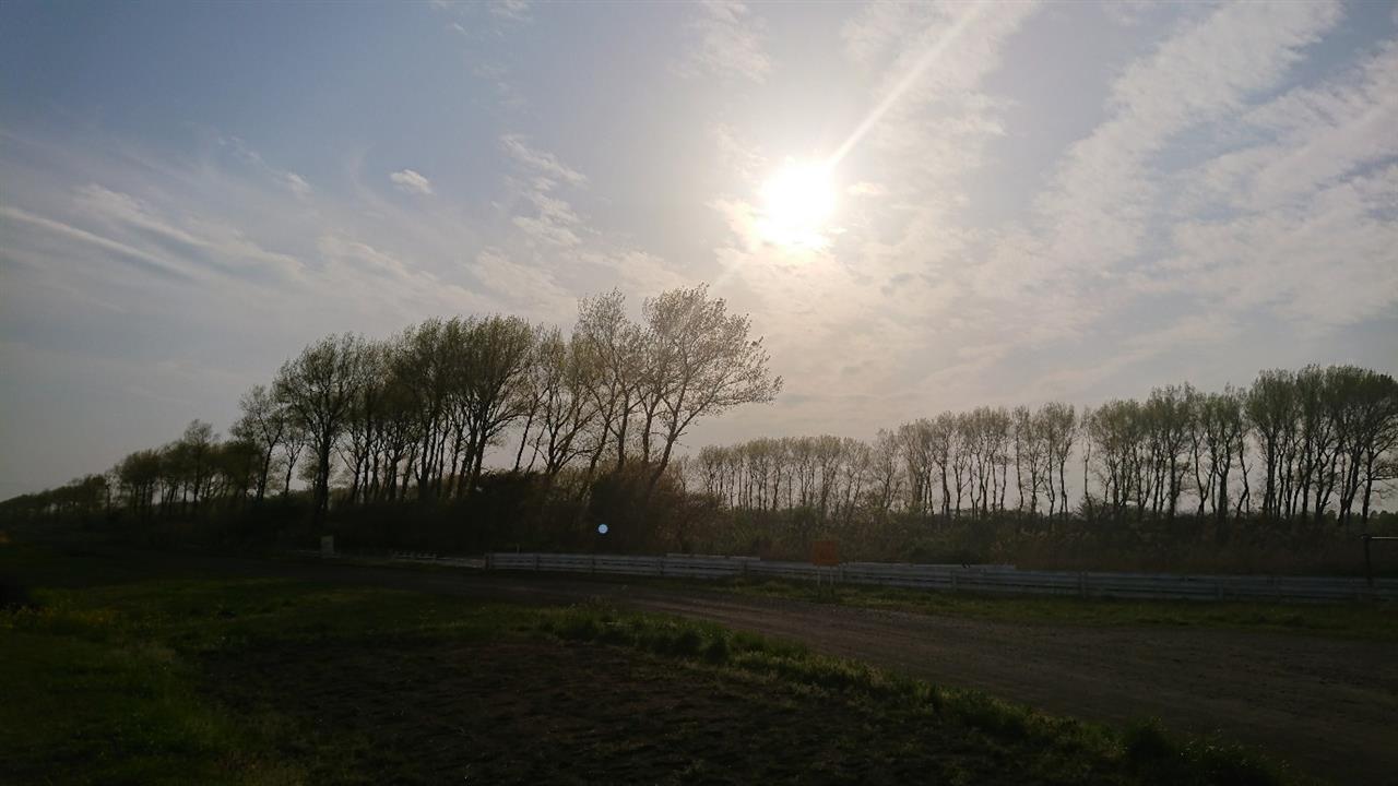 alt