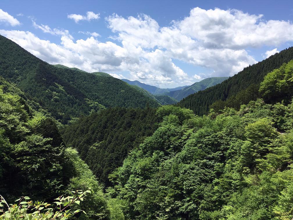 癒しで包み込んでくれる奥多摩の道 やっと通れるようになったのよ Gaku1のブログ Gaku1 がくいち のページ みんカラ 癒しで包み込んでくれる奥多摩の道 やっと通れるようになったのよ Gaku1のブログ Gaku1 がくいち のページ みんカラ