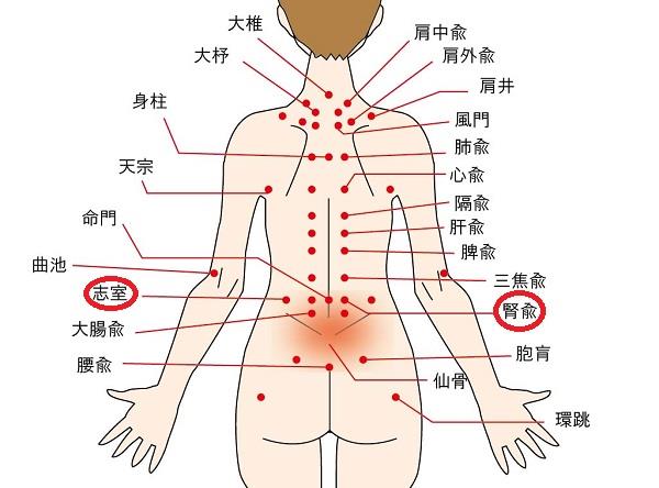 腰痛のその後 ポチ７号のブログ ポチ７号のページ みんカラ