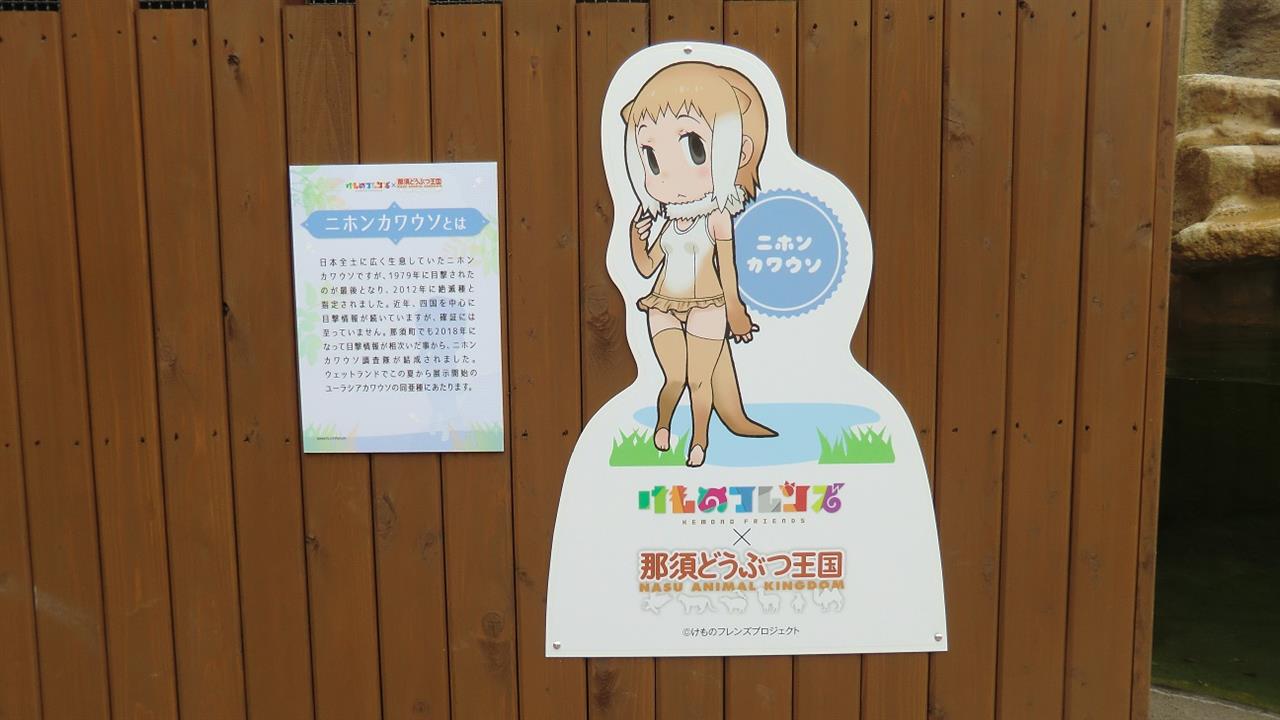 やはりハシビロコウは最高だ 春原シンパチのブログ お天気 ガール みんカラ やはりハシビロコウは最高だ 春原シンパチのブログ お天気 ガール みんカラ