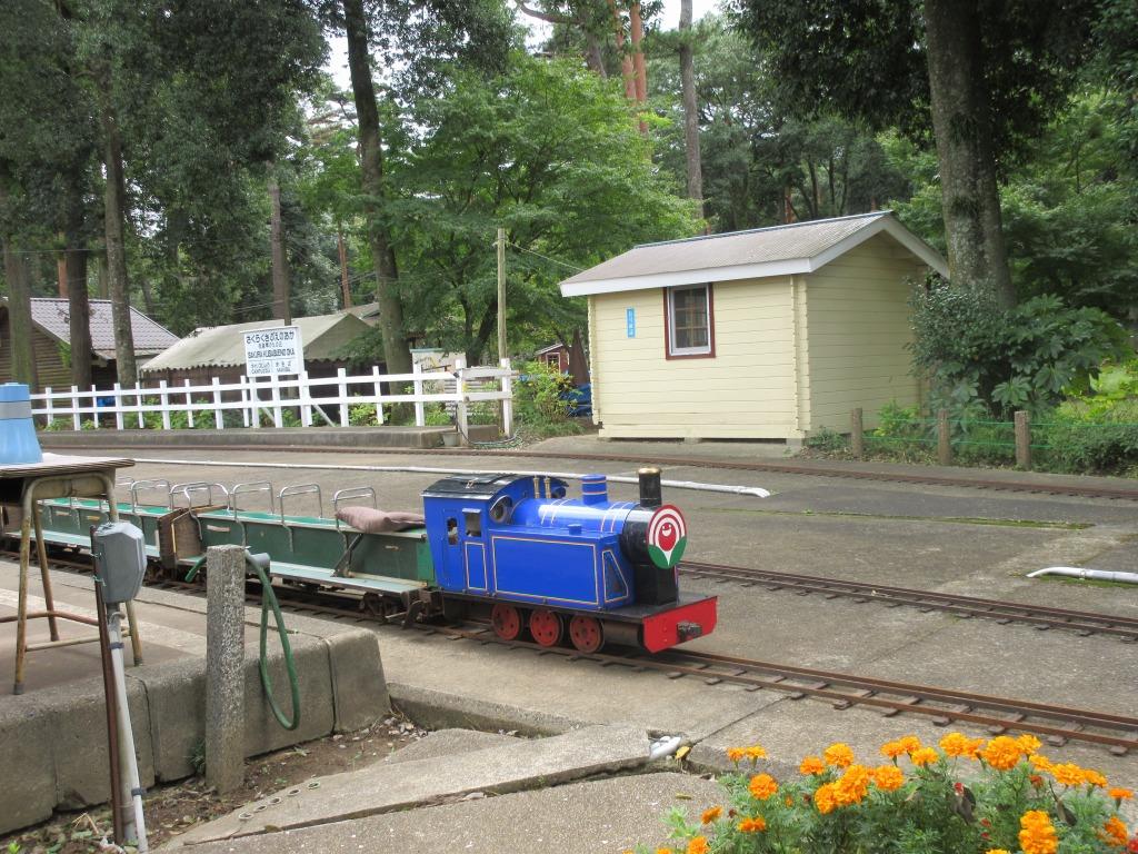 佐倉草ぶえの丘のミニ鉄道 よーのすけ Nb1のブログ 無理をしない がんばらない みんカラ 佐倉草ぶえの丘のミニ鉄道 よーのすけ Nb1のブログ 無理をしない がんばらない みんカラ