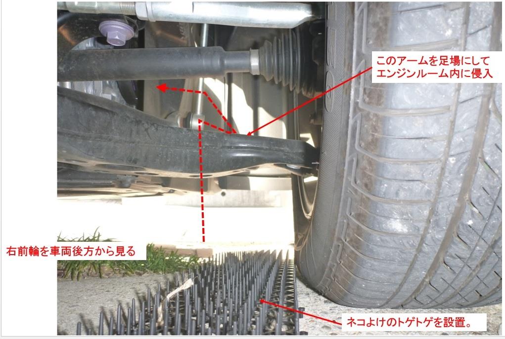 エンジンルーム ネコ侵入対策 おっさんくんのブログ おっさんくんのページ みんカラ エンジンルーム ネコ侵入対策 おっさんくんのブログ おっさんくんのページ みんカラ