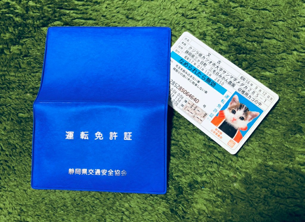 有給休暇 免許更新とfm放送局観覧 ツインソウル Spec のブログ ツインソウル Spec のページ みんカラ 有給休暇 免許更新とfm放送局観覧 ツインソウル Spec のブログ ツインソウル Spec のページ みんカラ