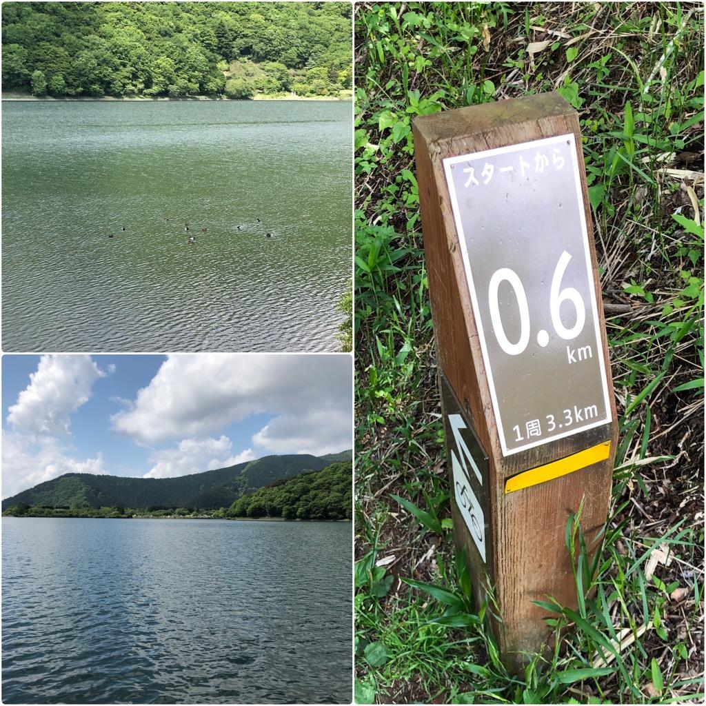 1年ぶりの田貫湖散策 とちょっとだけまかいの牧場 Pikamatsuのブログ 富士山とお酒とおでかけと ときどき カーライフ みんカラ