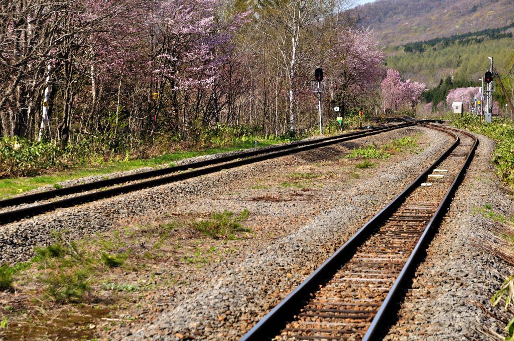 令和最初は北海道へお花見 Jr宗谷本線塩狩駅 塩狩峠 一目千本桜 19 5 Led530のブログ To The Places Various By Car みんカラ 令和最初は北海道へお花見 Jr宗谷本線塩狩駅 塩狩峠 一目千本桜 19 5 Led530のブログ To The Places Various By Car みんカラ
