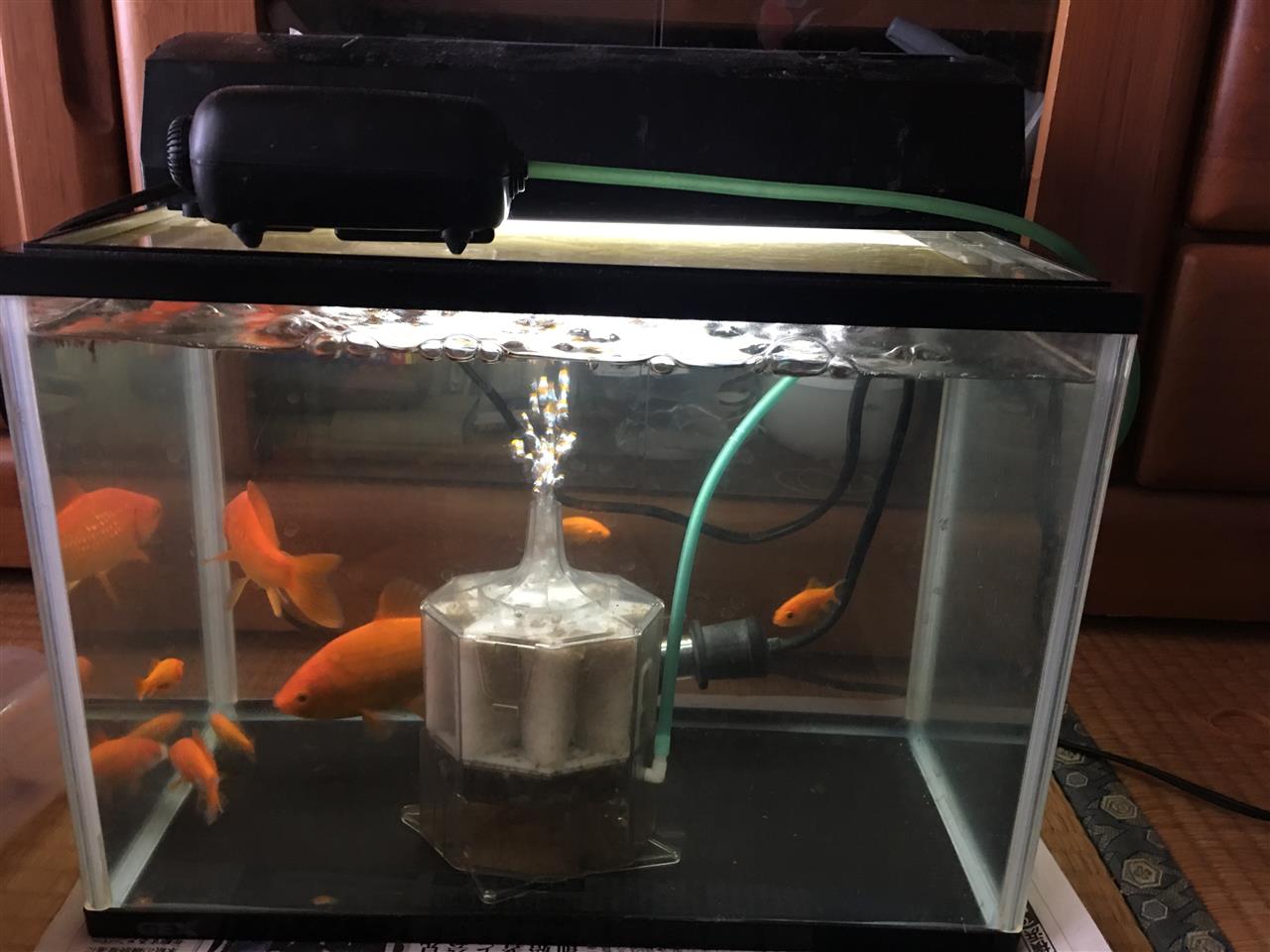 結構スグレモノ ぎろんのブログ 脱 メタボ中 みんカラ 結構スグレモノ ぎろんのブログ 脱 メタボ中 みんカラ