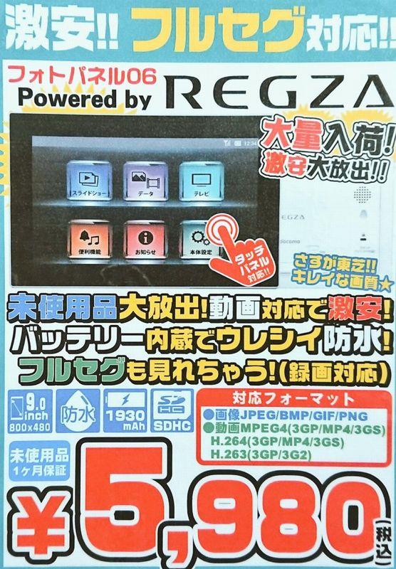 フォトパネル06 テレビに始まり、テレビに終わる2019年！｜豆柴