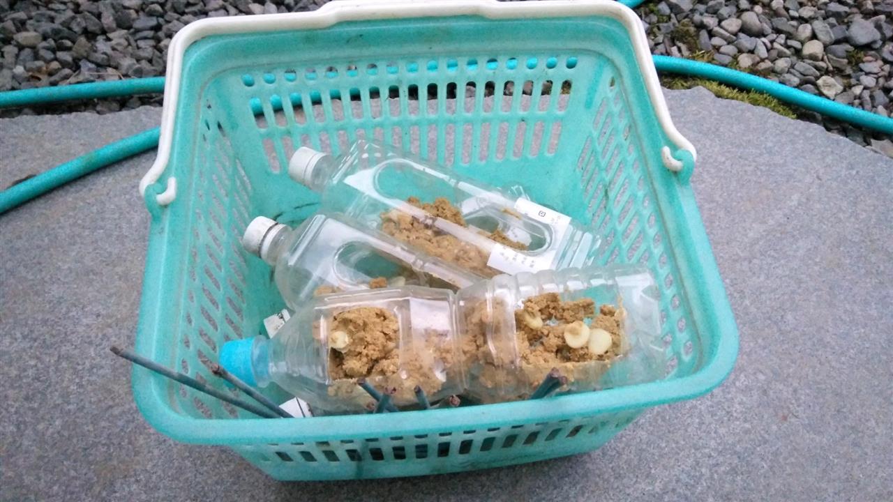 ジャンボタニシ対応と田植えに使った農道具の片付け た て いっさんのブログ アウトドア大好き みんカラ ジャンボタニシ対応と田植えに使った農道具の片付け た て いっさんのブログ アウトドア大好き みんカラ