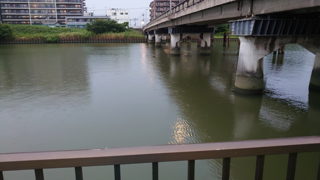 新中川でウナギ狙い Akirachiのブログ Akirachiのきままな愛車 みんカラ 新中川でウナギ狙い Akirachiのブログ Akirachiのきままな愛車 みんカラ