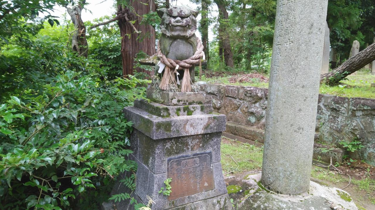alt