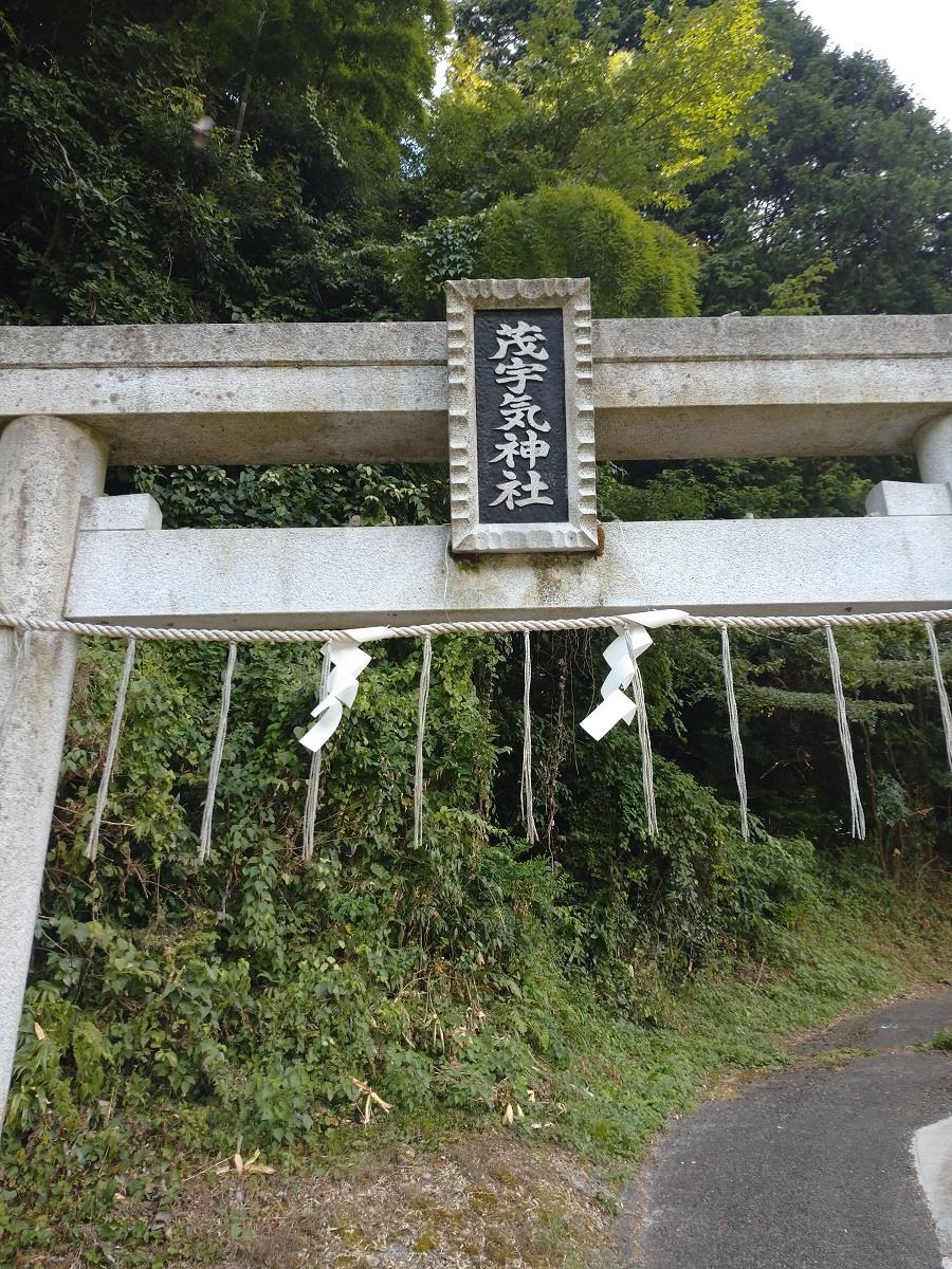 alt