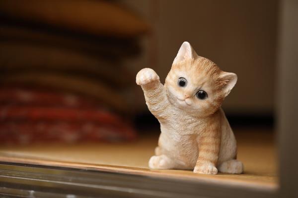 花にじゃれる子猫 くろネコのブログ くろネコの部屋 みんカラ 花にじゃれる子猫 くろネコのブログ くろネコの部屋 みんカラ