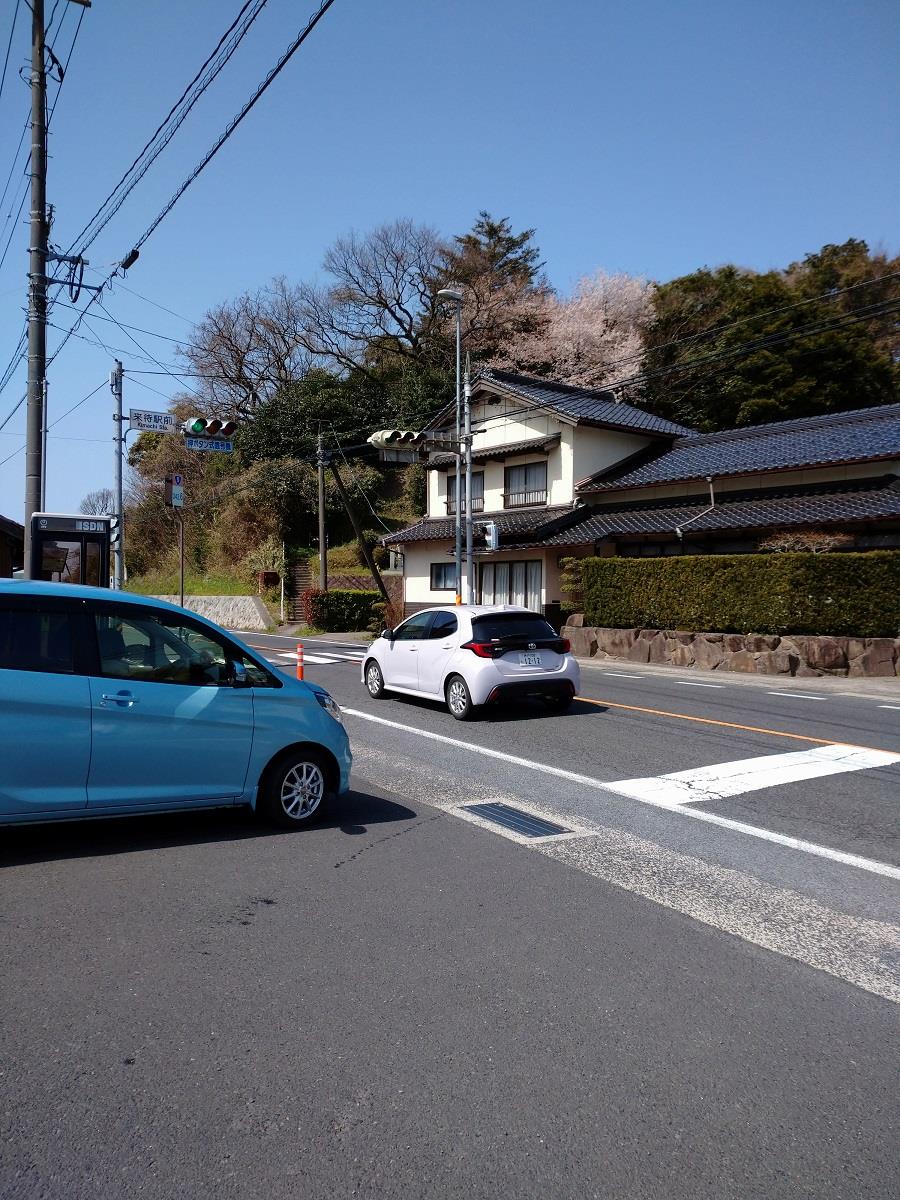 alt