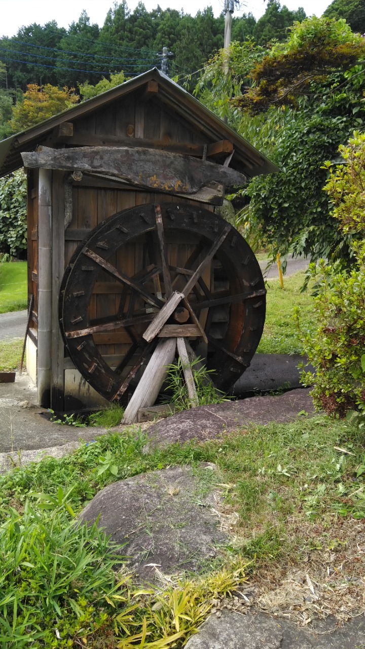 alt