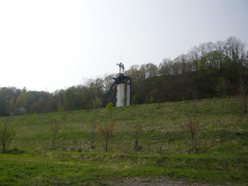 alt