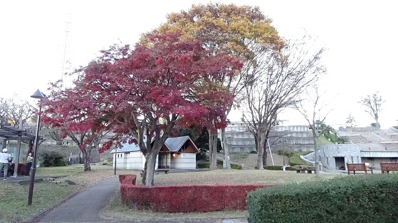 alt