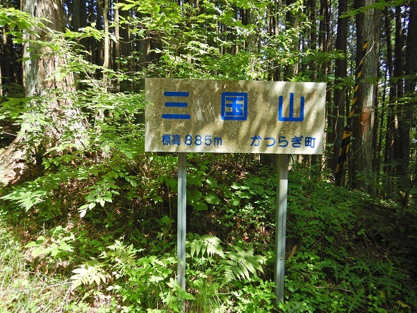 alt