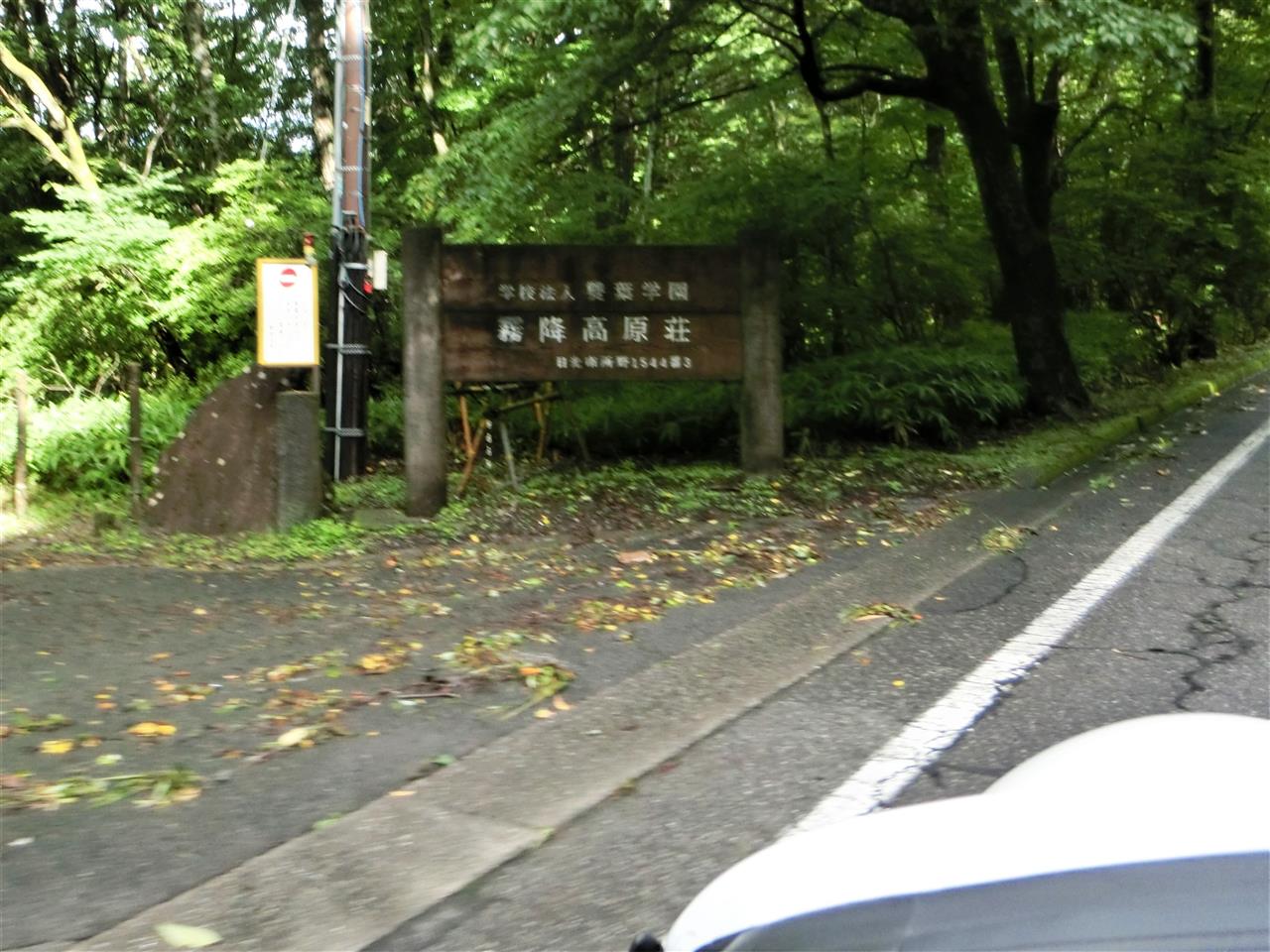 alt