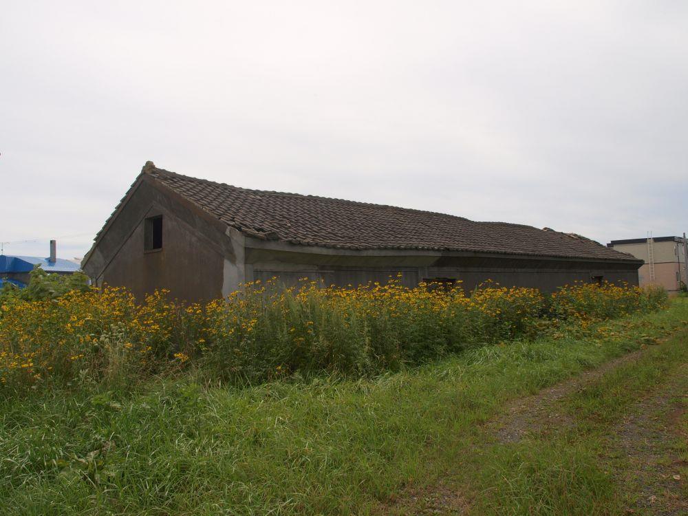 alt