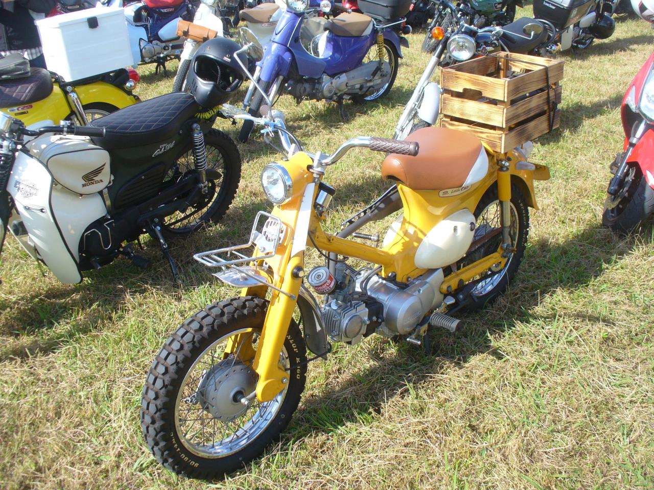 alt