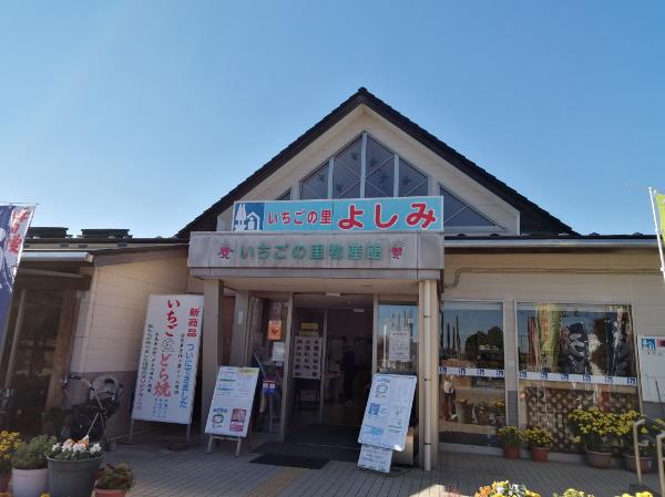 alt