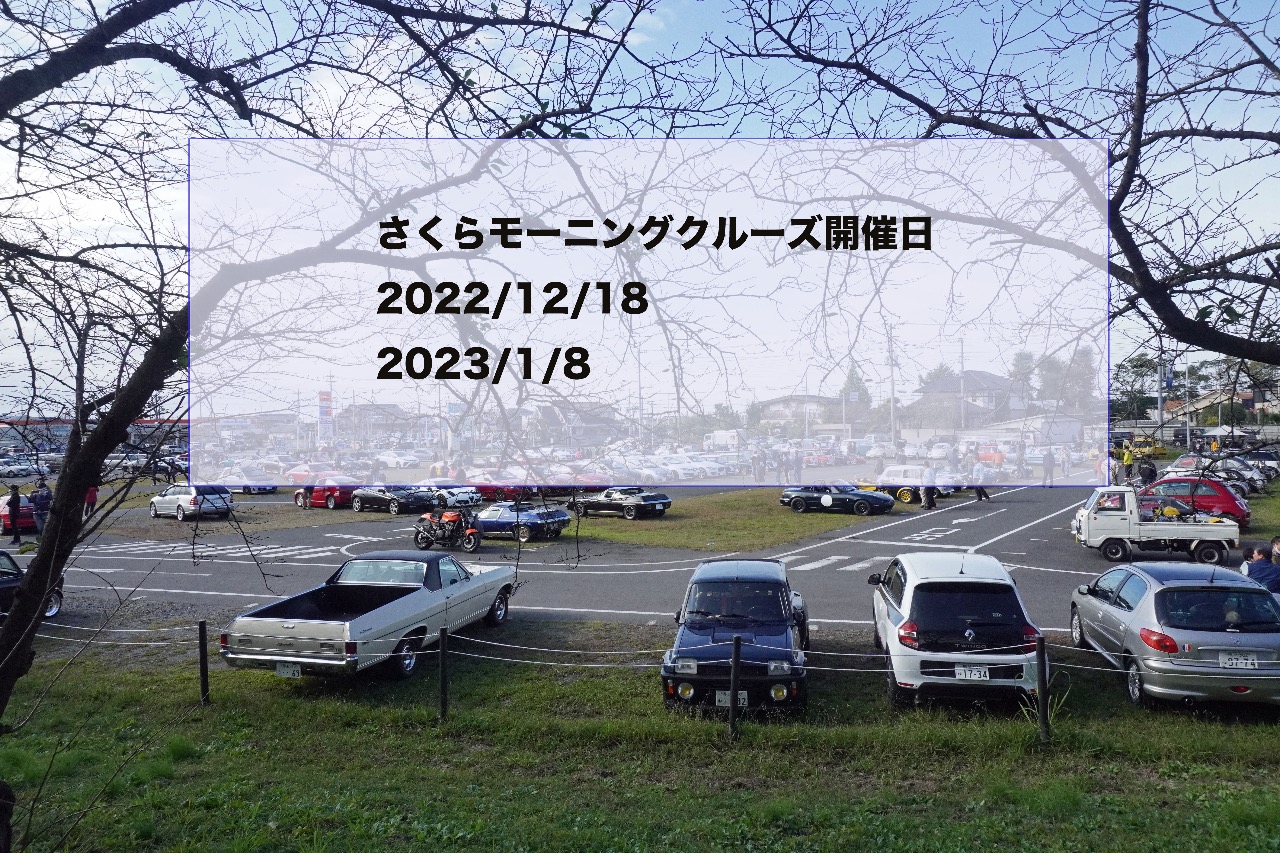 さくらモーニングクルーズは12月18日と1月8日に開催します