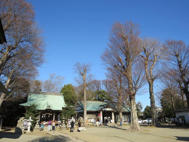 alt