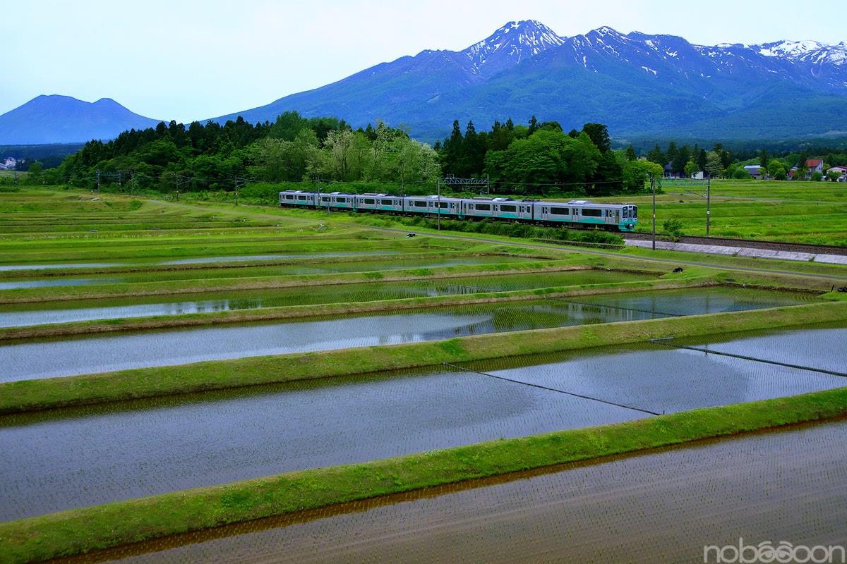 水田と新緑風景｜noboooonのブログ｜どこまで走ろうか - みんカラ