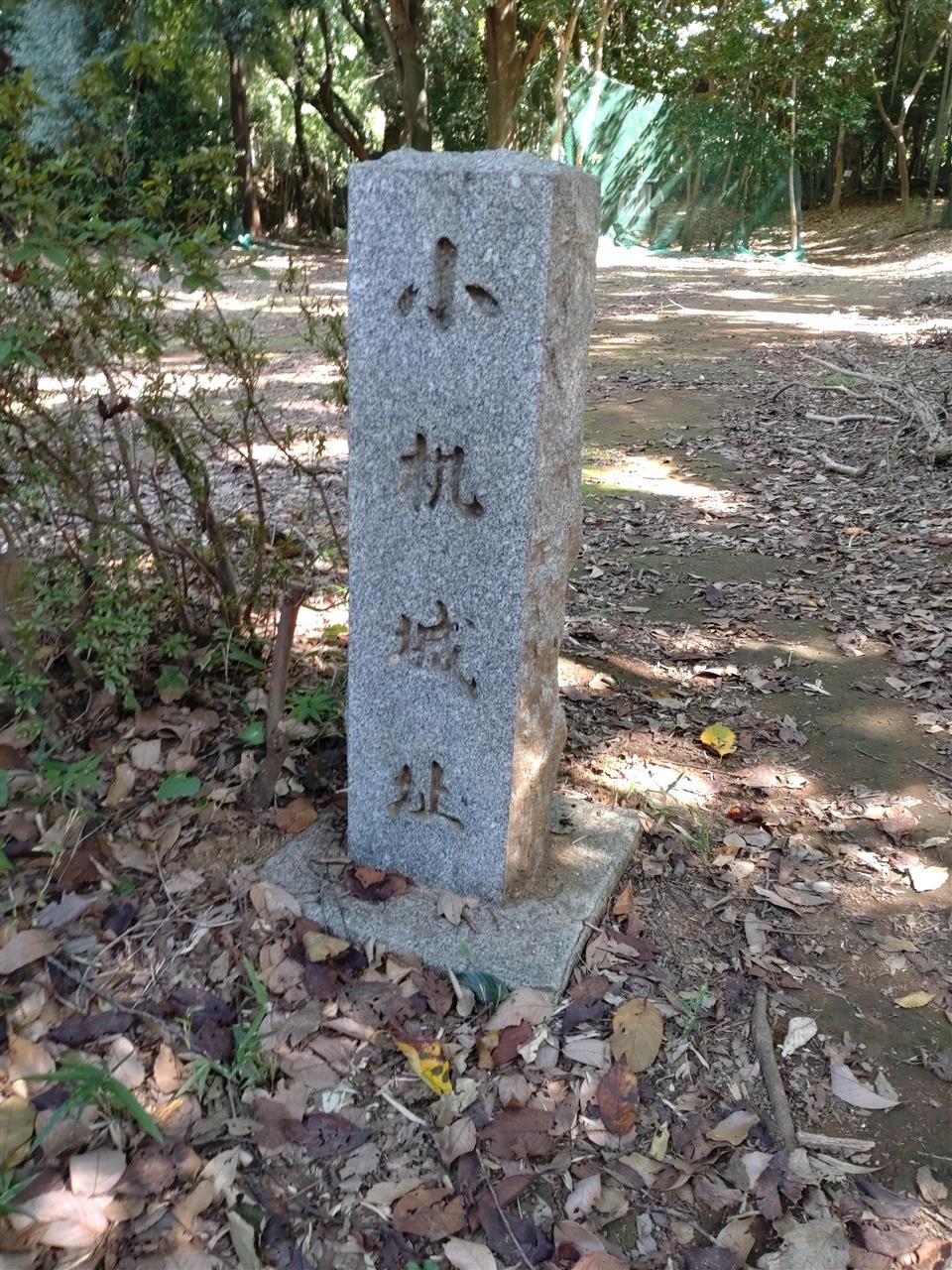 alt