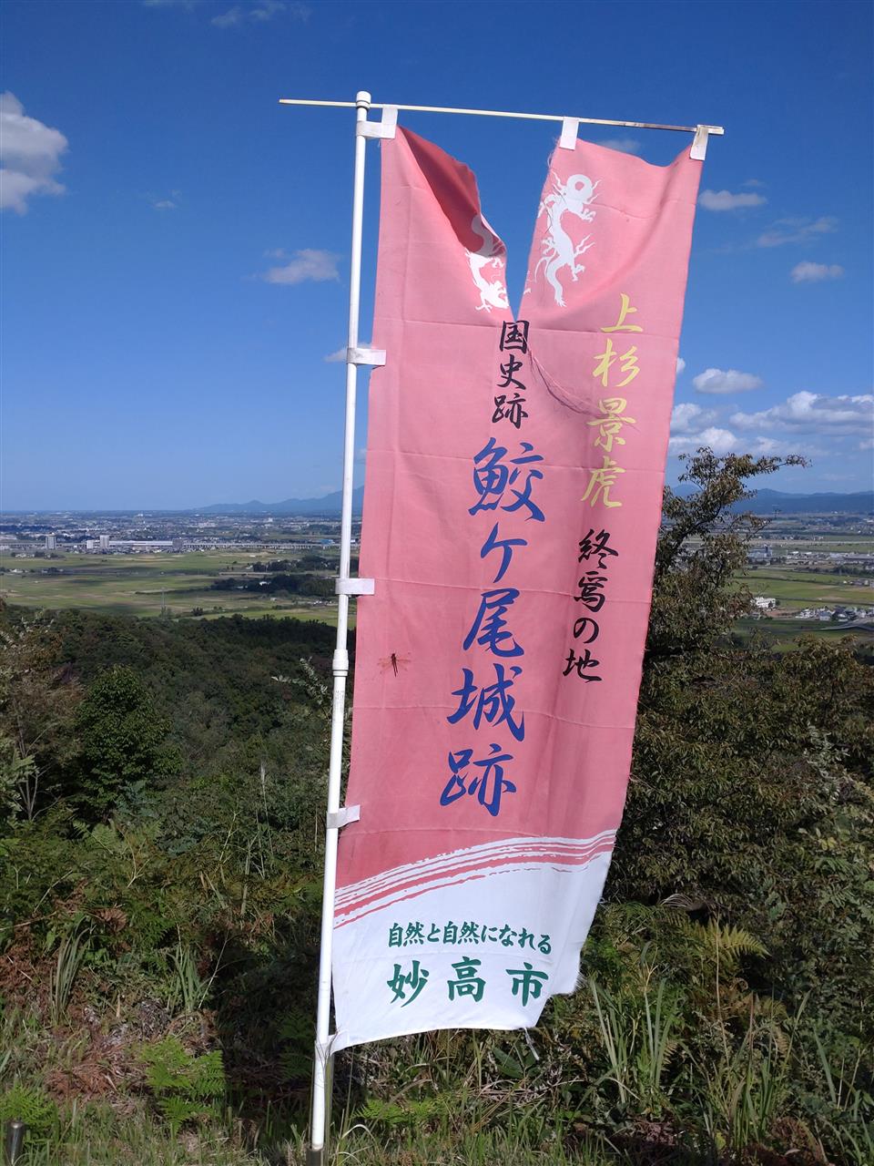 alt