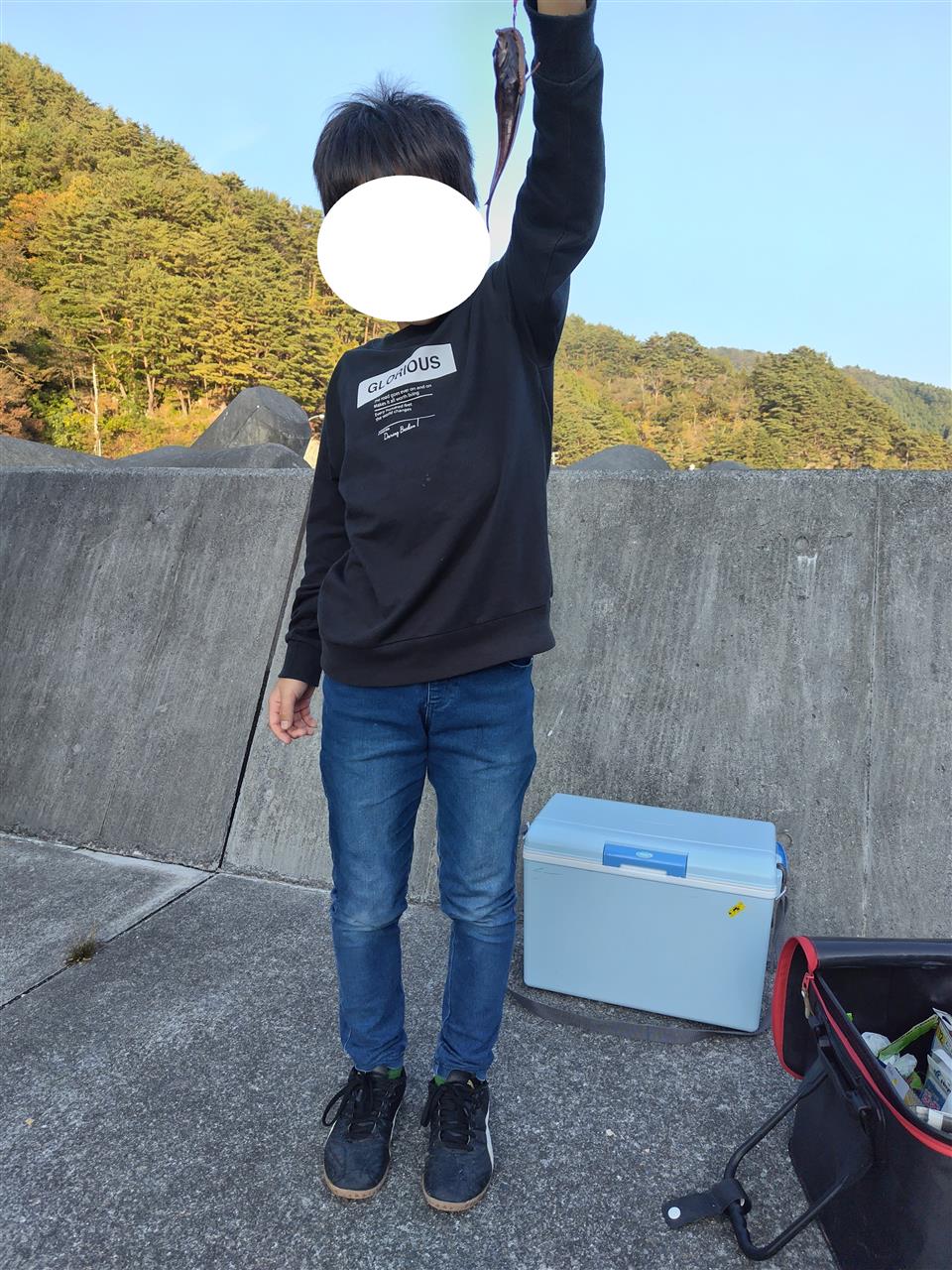 alt