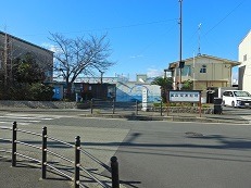 alt