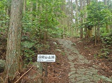alt