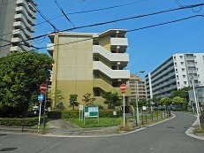 alt