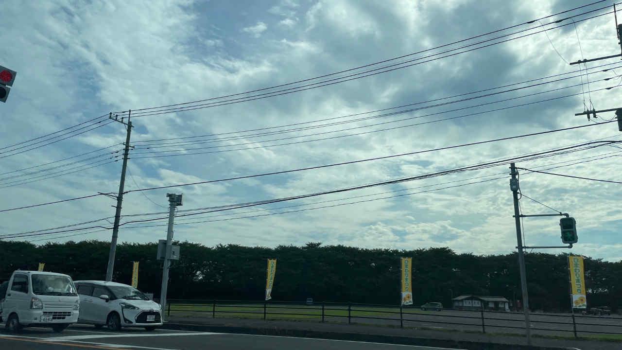 alt