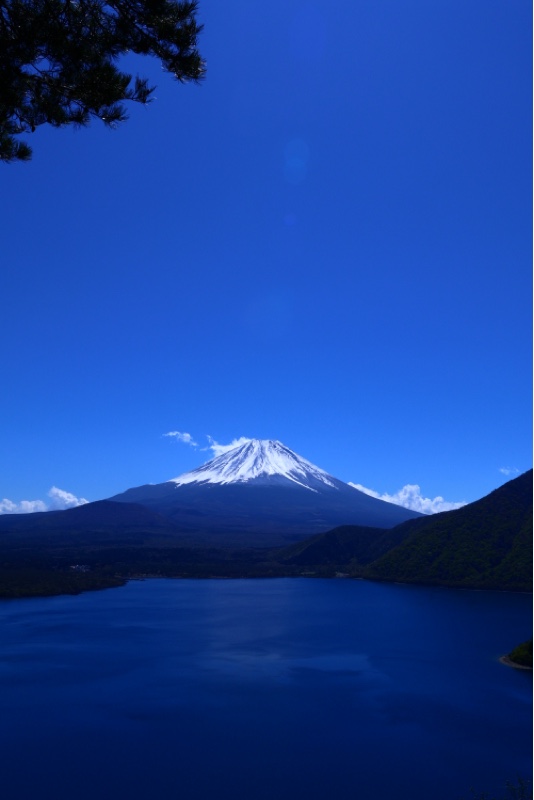 Bibian 比比昂 - 富士山絵画 油絵 風景画 河口湖からの桜富士 F6
