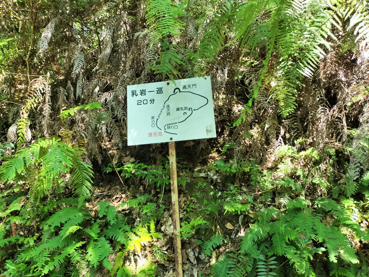 alt